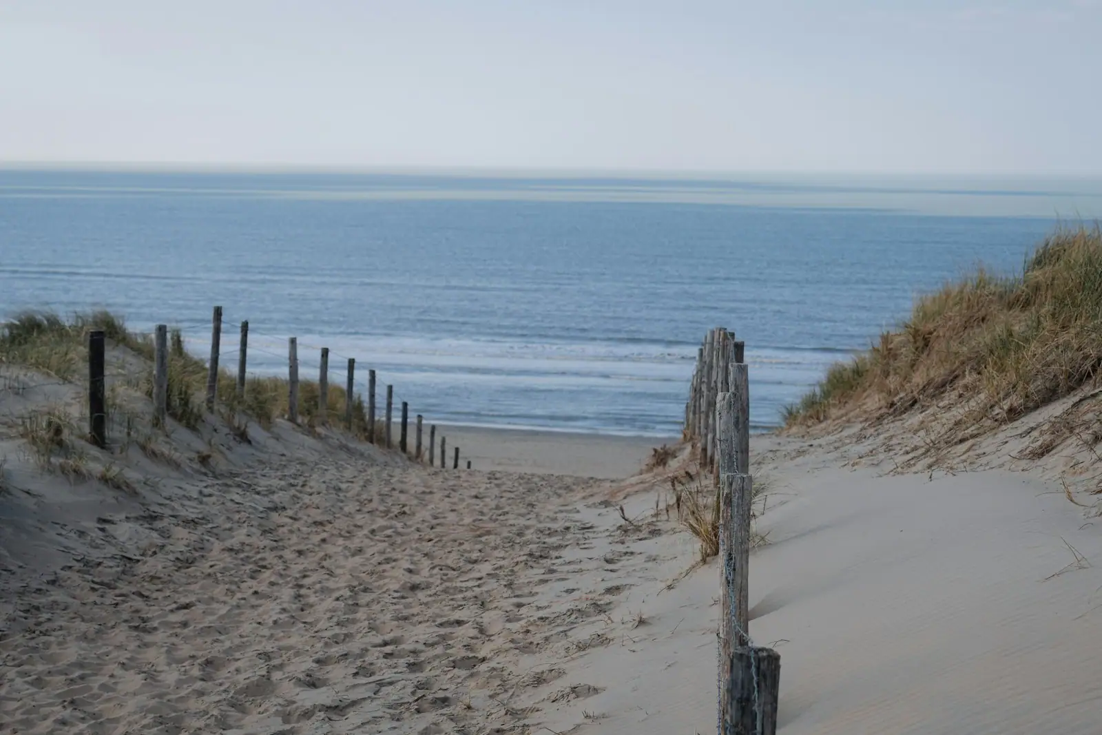 A path to the beach leading to the ocean
