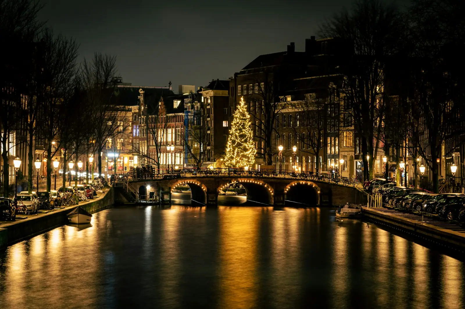 A lighted christmas tree on a bridge over a river