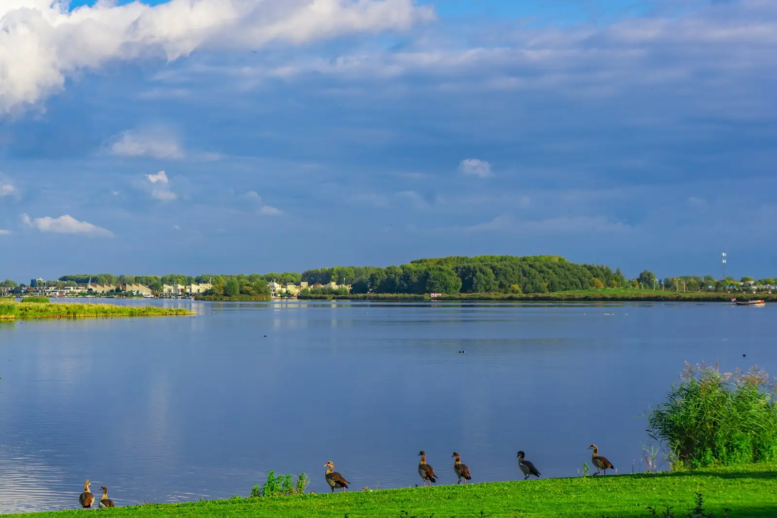 People on green grass field near body of water under blue and white cloudy sky during