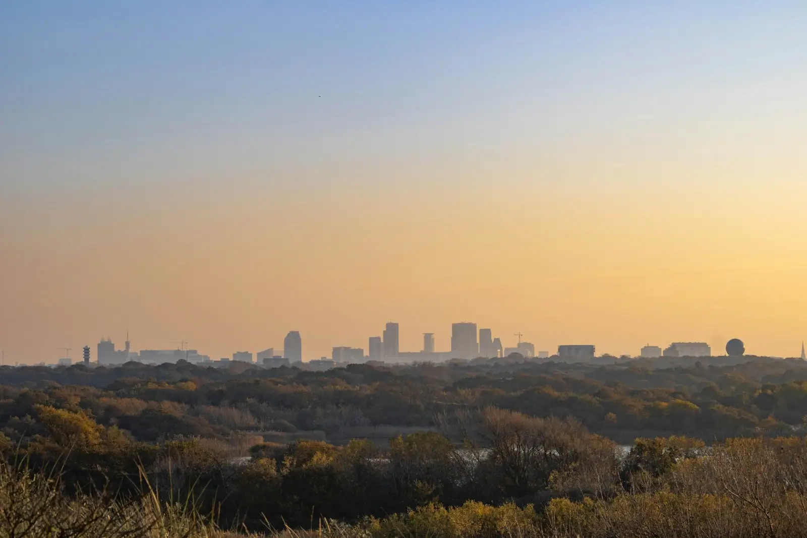 A view of a city from a distance