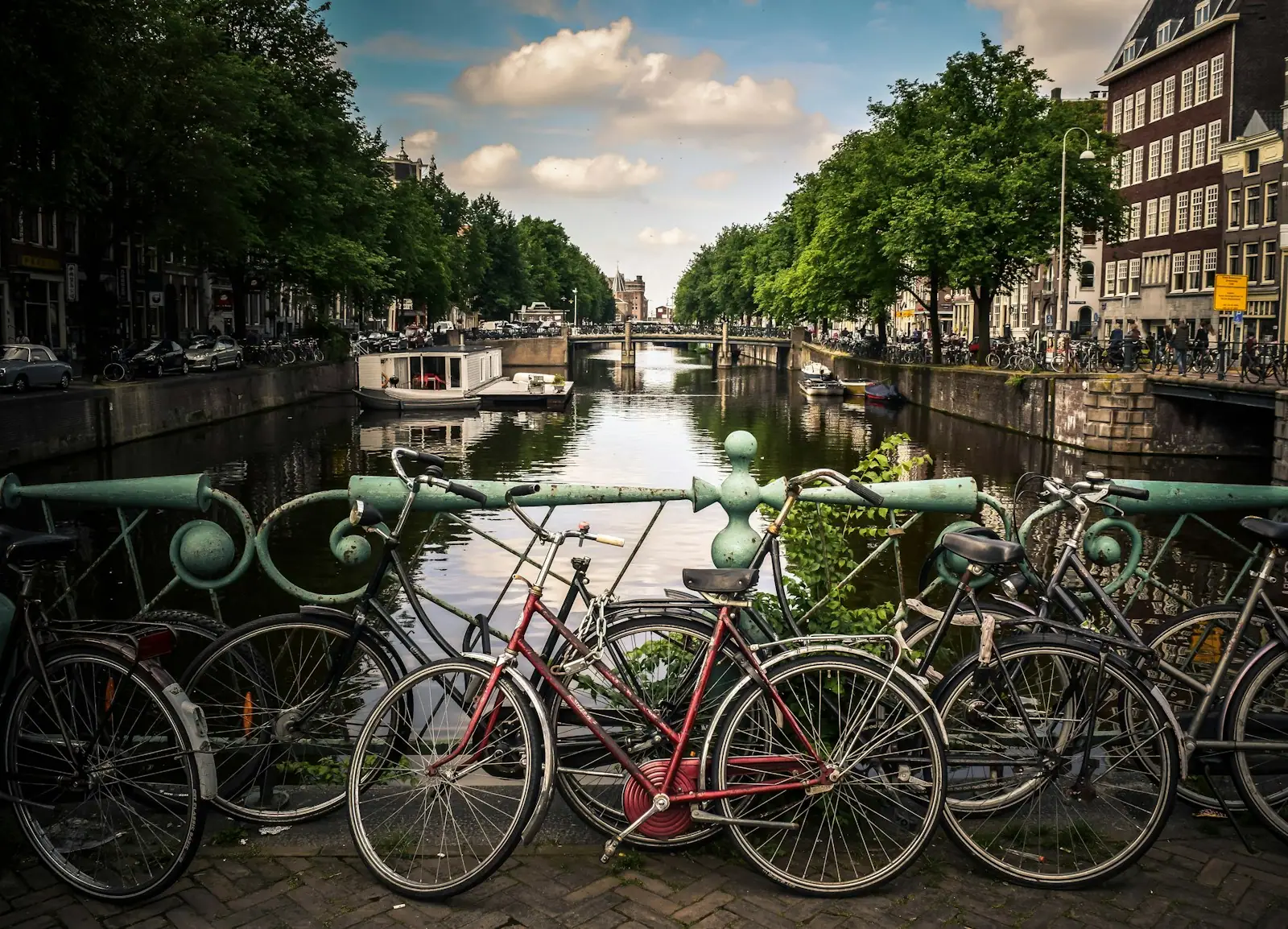 Assorted-color bicycles park beside blue rails near river