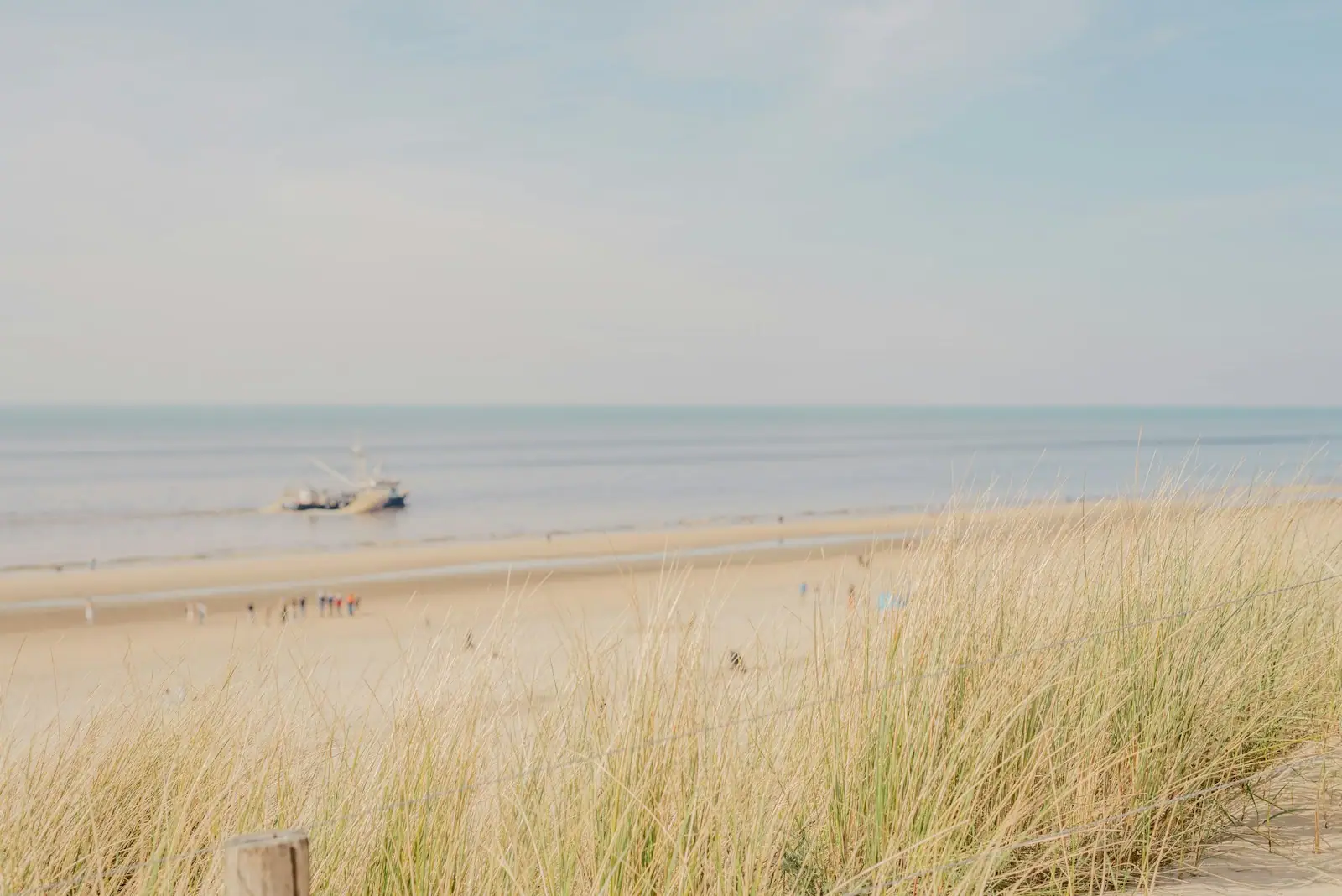 A beach with a boat in the distance