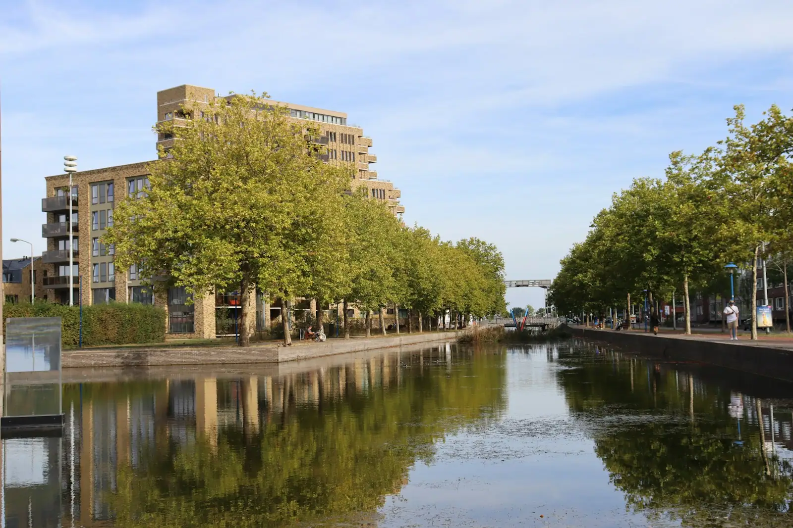A body of water with trees and buildings around it