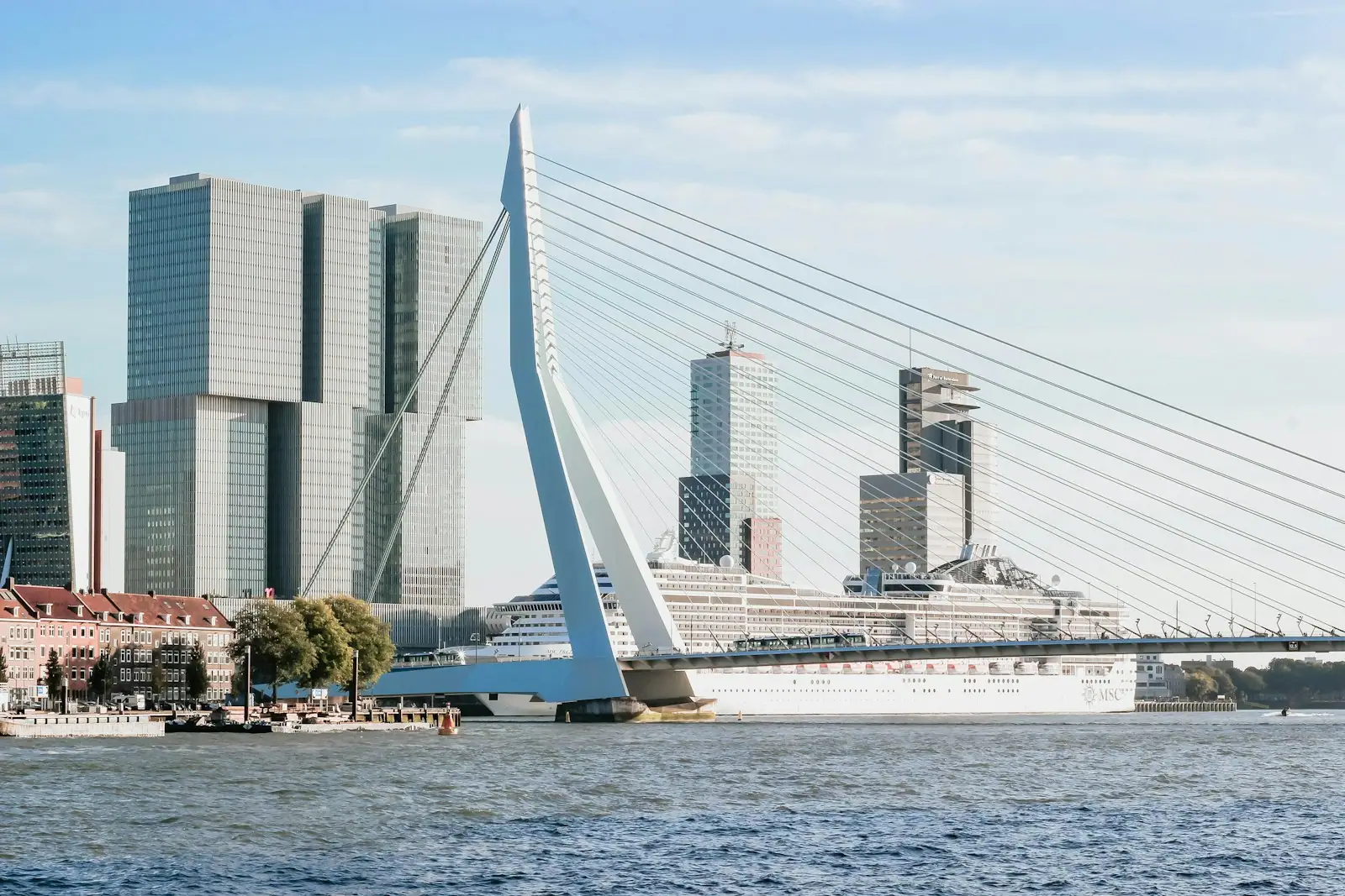 White cruise ship on calm body of water