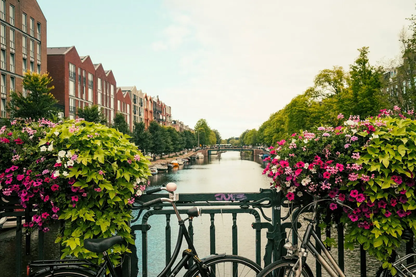 A river with flowers and trees