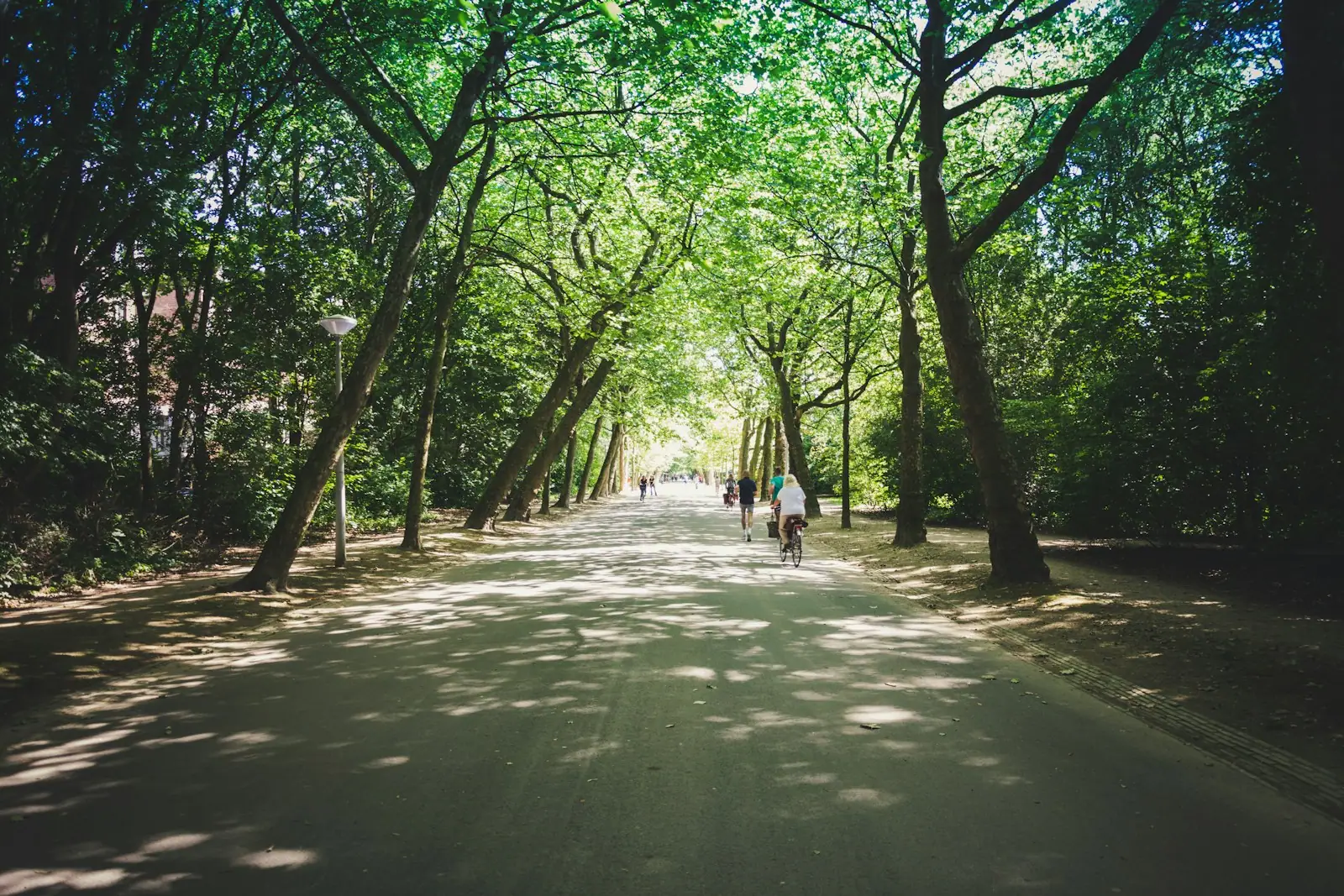 People at the park