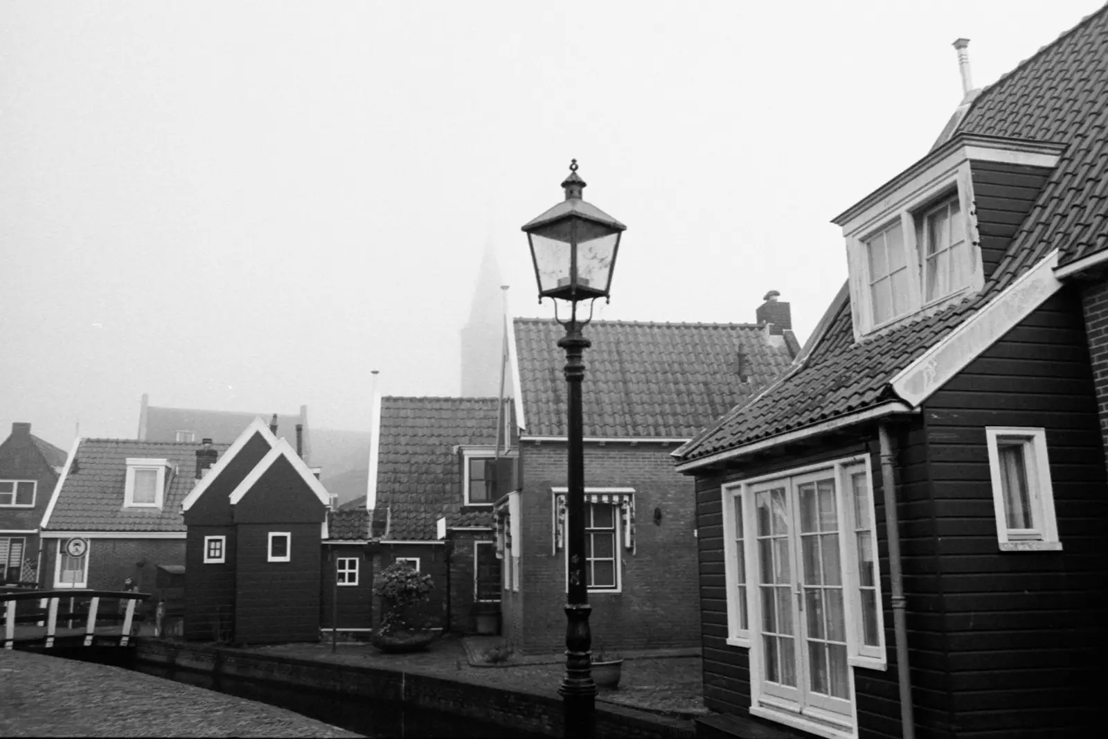 Grayscale photo of houses near street light