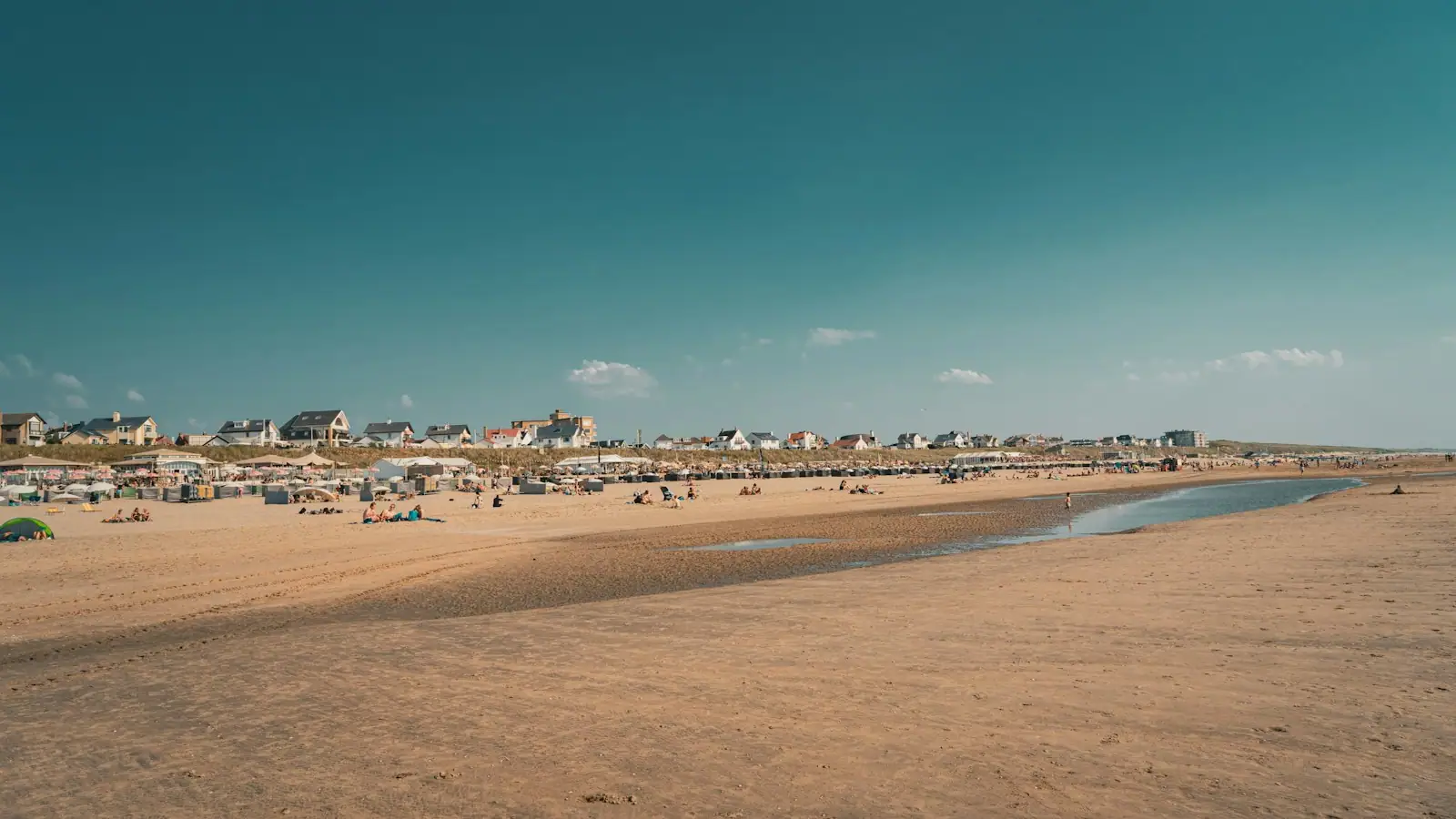 A group of people on a beach near a body of water
