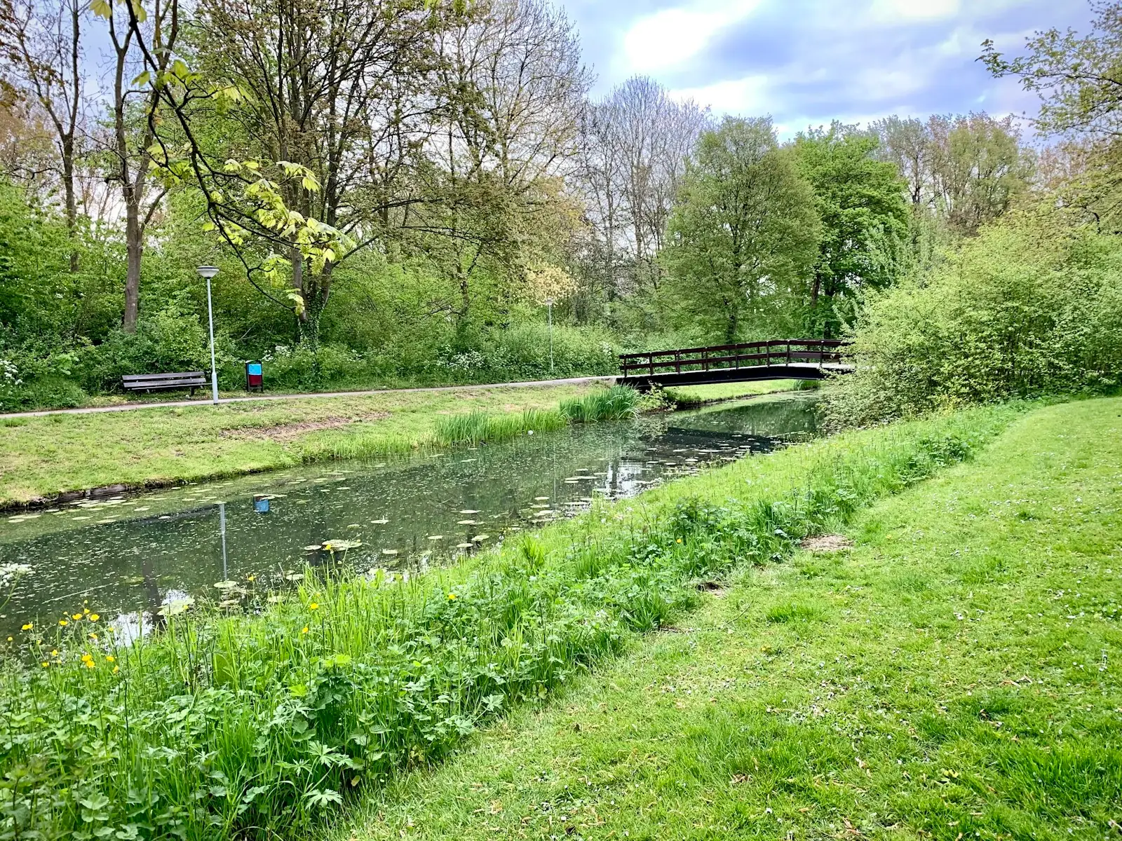 Green grass field with trees during daytime